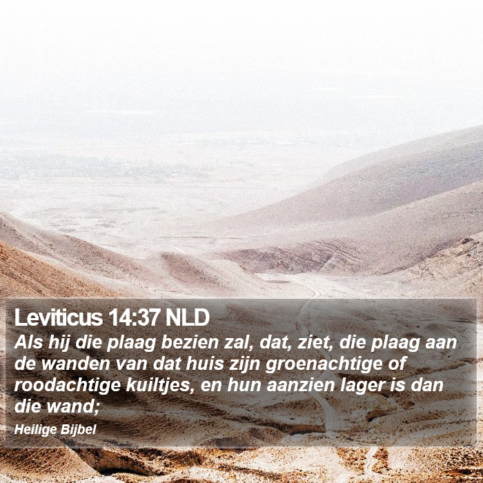 Leviticus 14:37 NLD Bible Study