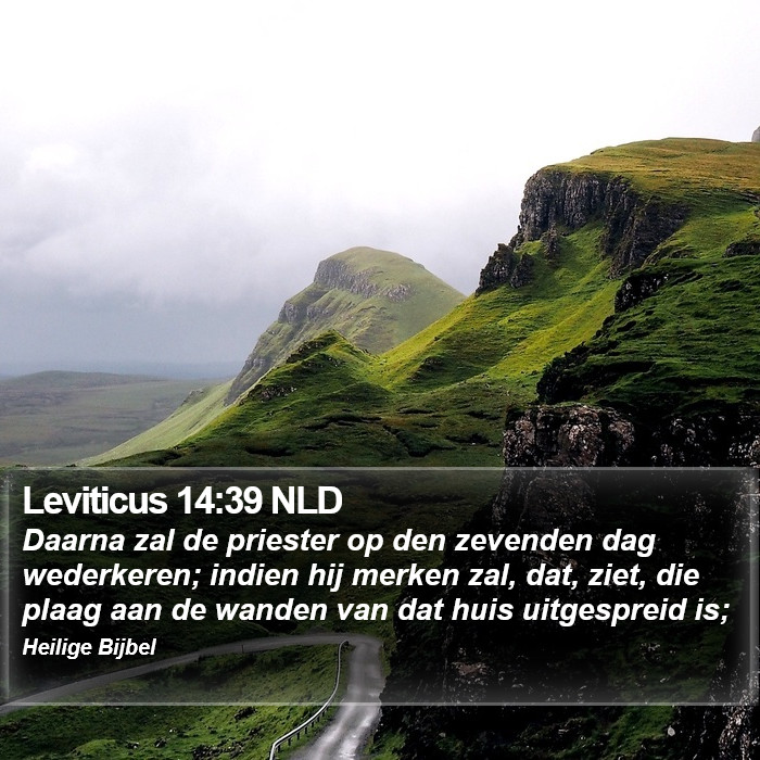 Leviticus 14:39 NLD Bible Study