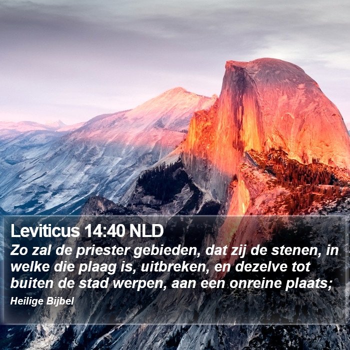 Leviticus 14:40 NLD Bible Study