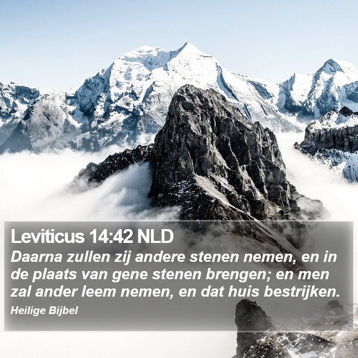 Leviticus 14:42 NLD Bible Study