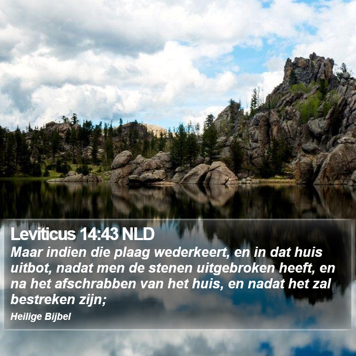 Leviticus 14:43 NLD Bible Study