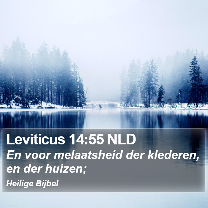 Leviticus 14:55 NLD Bible Study