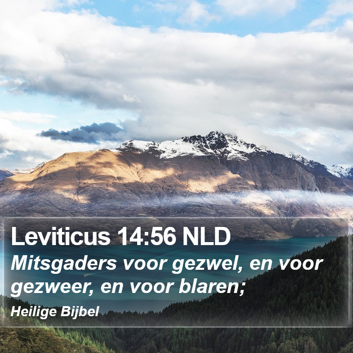 Leviticus 14:56 NLD Bible Study