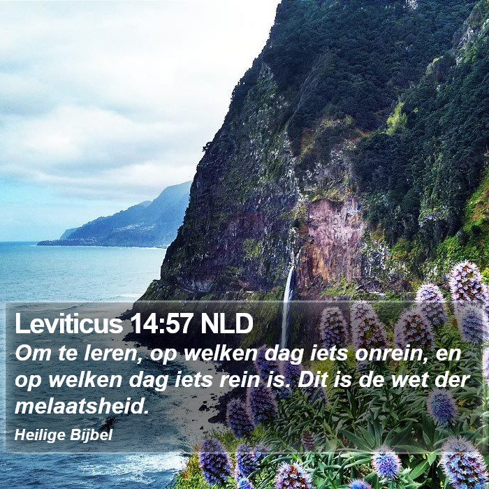 Leviticus 14:57 NLD Bible Study