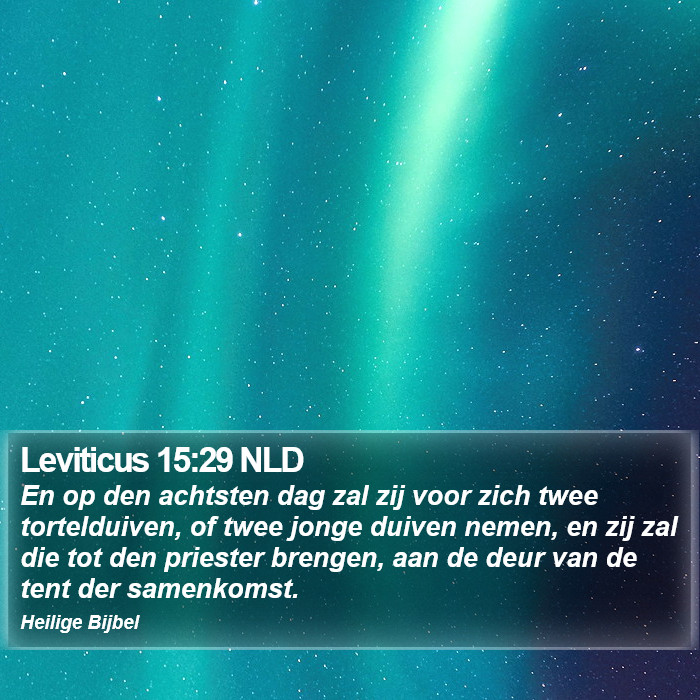 Leviticus 15:29 NLD Bible Study