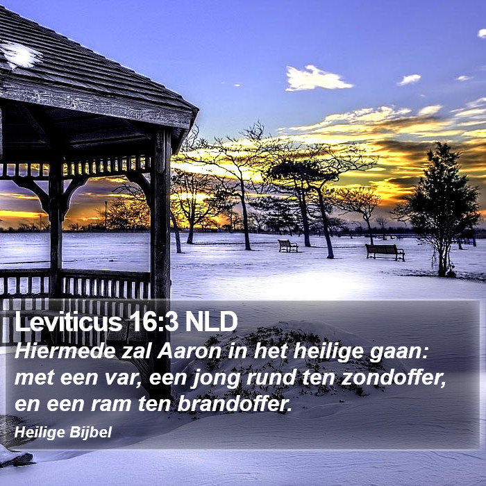 Leviticus 16:3 NLD Bible Study