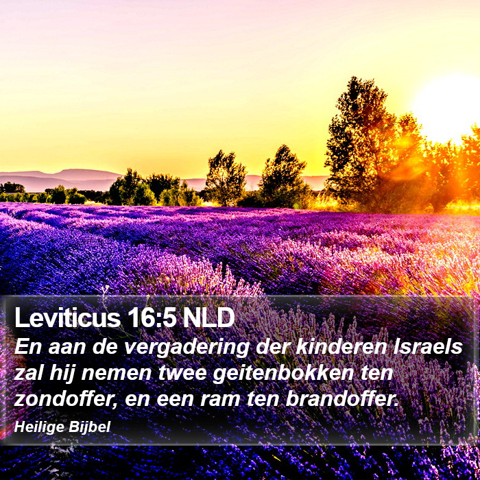 Leviticus 16:5 NLD Bible Study