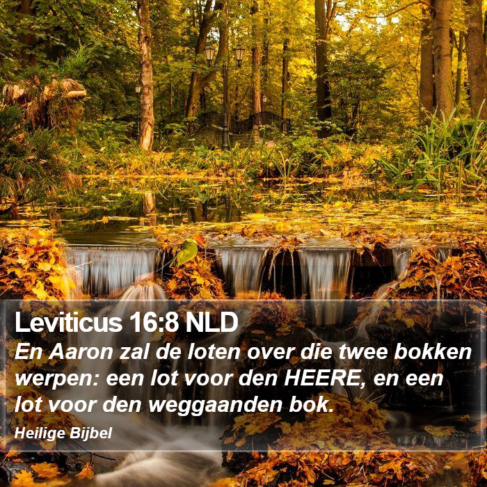 Leviticus 16:8 NLD Bible Study