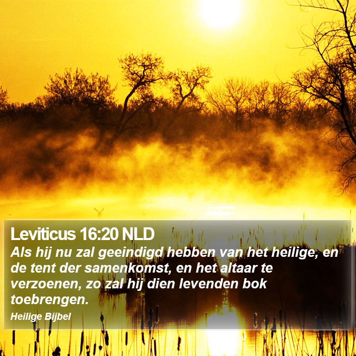 Leviticus 16:20 NLD Bible Study