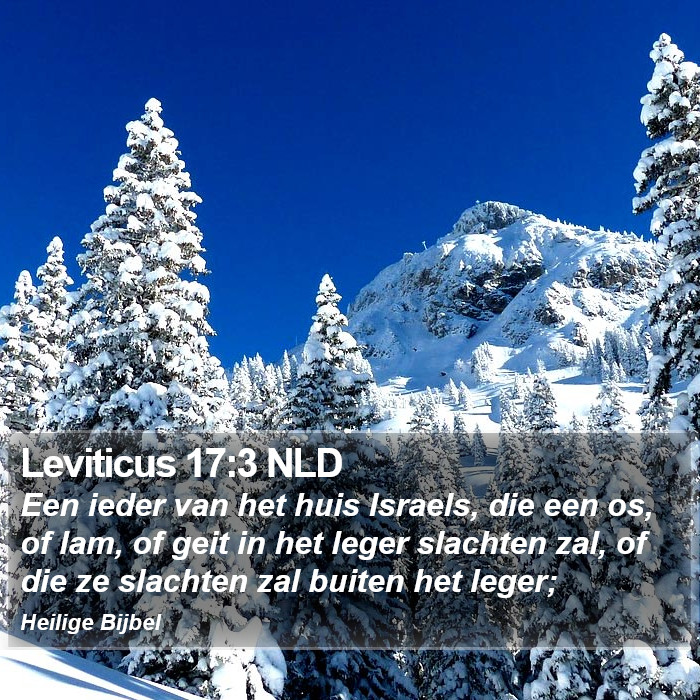 Leviticus 17:3 NLD Bible Study