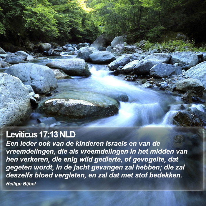 Leviticus 17:13 NLD Bible Study
