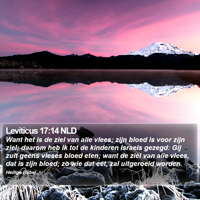 Leviticus 17:14 NLD Bible Study