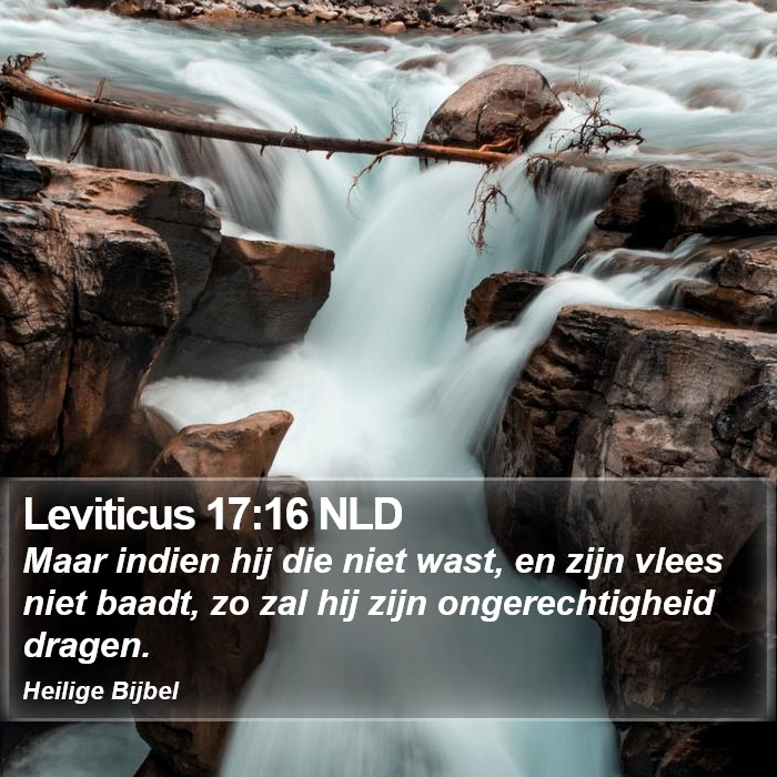 Leviticus 17:16 NLD Bible Study