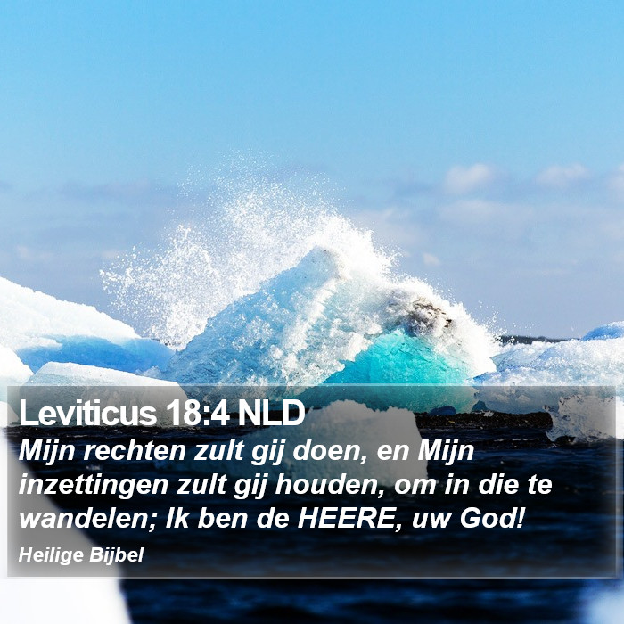 Leviticus 18:4 NLD Bible Study