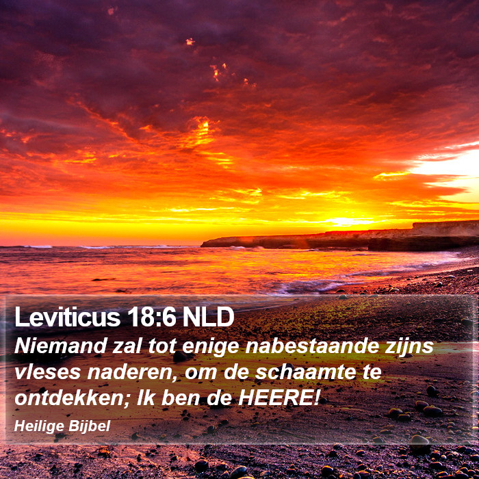 Leviticus 18:6 NLD Bible Study