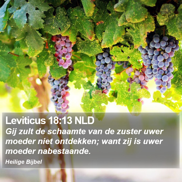 Leviticus 18:13 NLD Bible Study