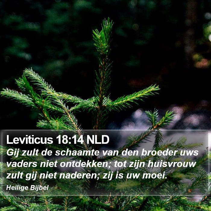 Leviticus 18:14 NLD Bible Study