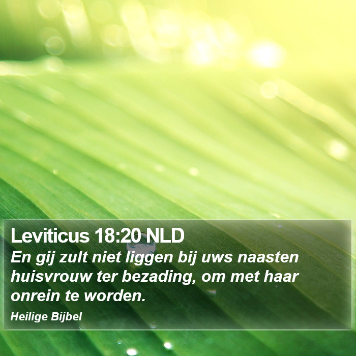 Leviticus 18:20 NLD Bible Study