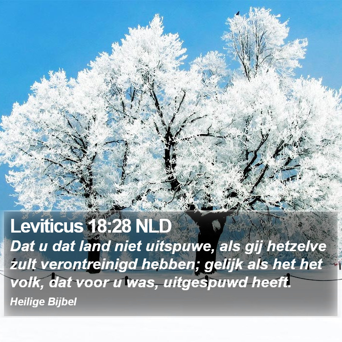 Leviticus 18:28 NLD Bible Study