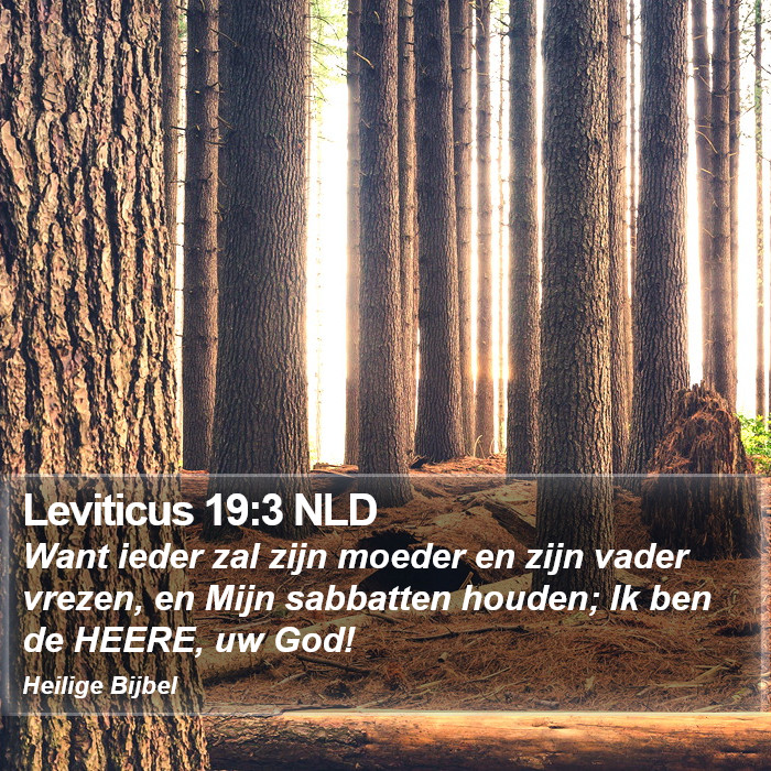 Leviticus 19:3 NLD Bible Study