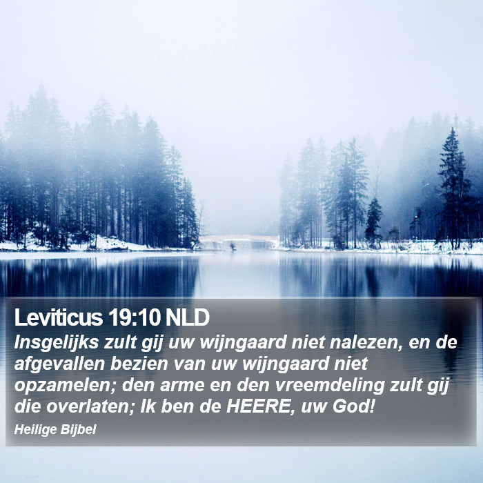 Leviticus 19:10 NLD Bible Study