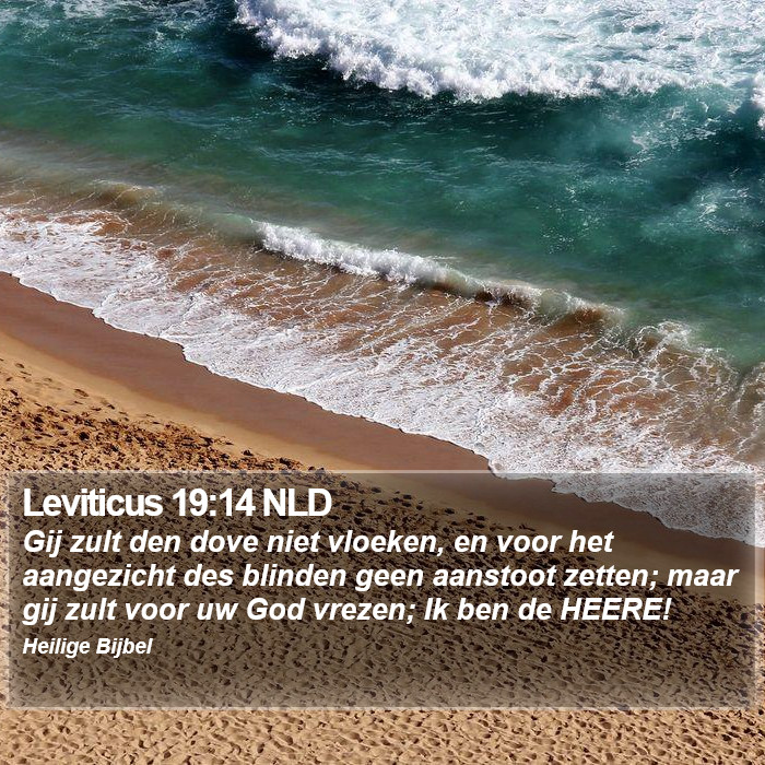 Leviticus 19:14 NLD Bible Study