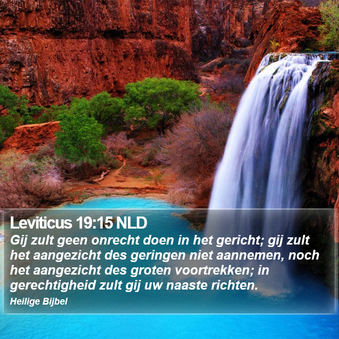 Leviticus 19:15 NLD Bible Study