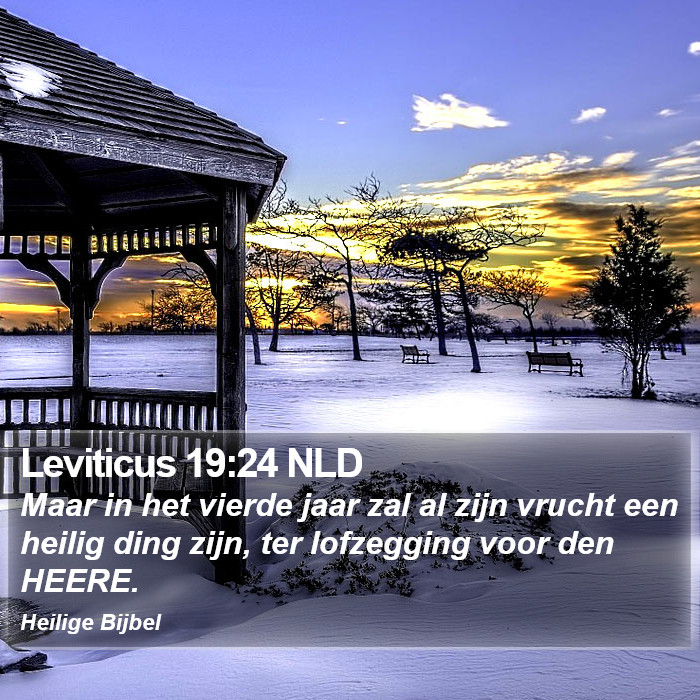 Leviticus 19:24 NLD Bible Study