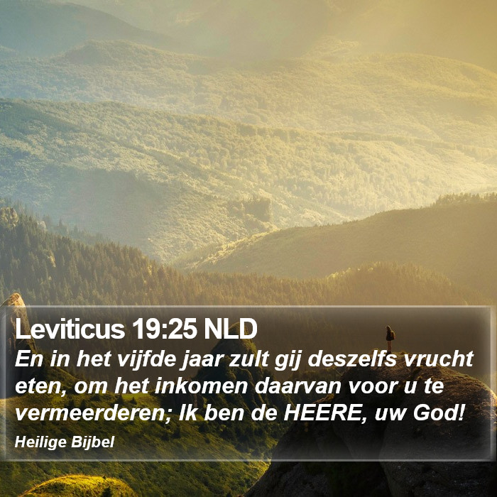 Leviticus 19:25 NLD Bible Study