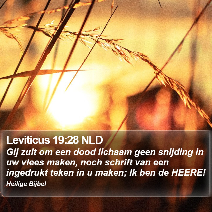 Leviticus 19:28 NLD Bible Study