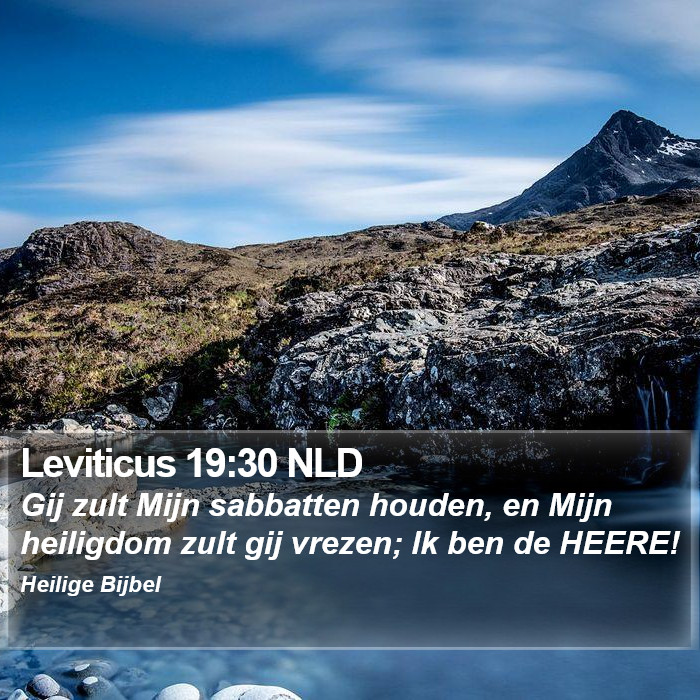 Leviticus 19:30 NLD Bible Study
