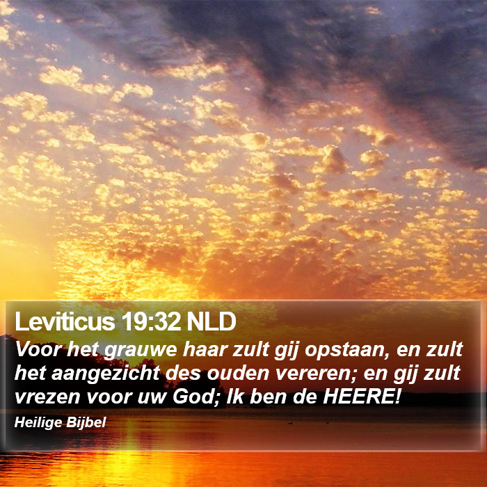 Leviticus 19:32 NLD Bible Study