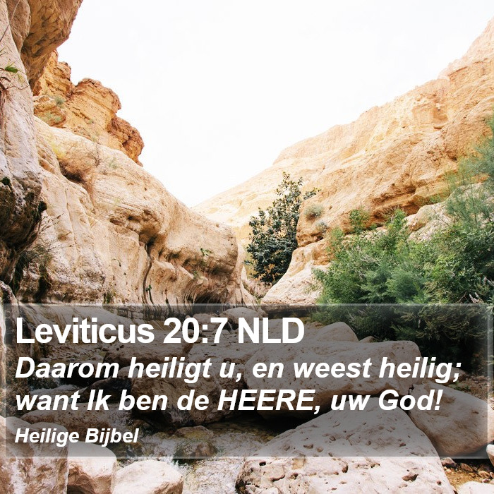 Leviticus 20:7 NLD Bible Study