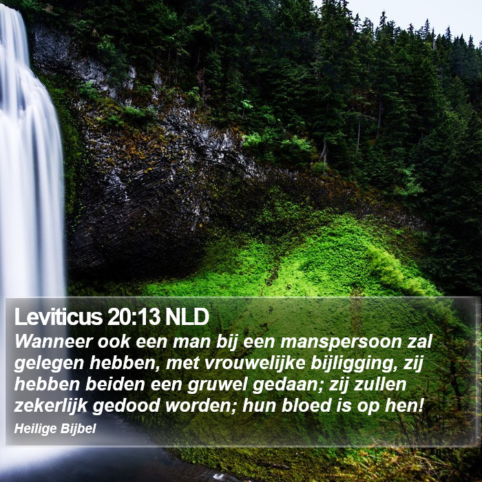 Leviticus 20:13 NLD Bible Study