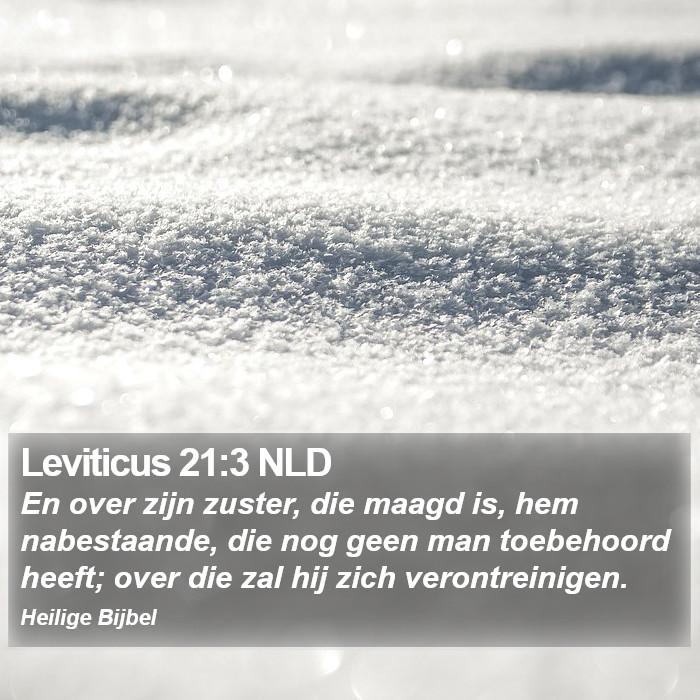 Leviticus 21:3 NLD Bible Study