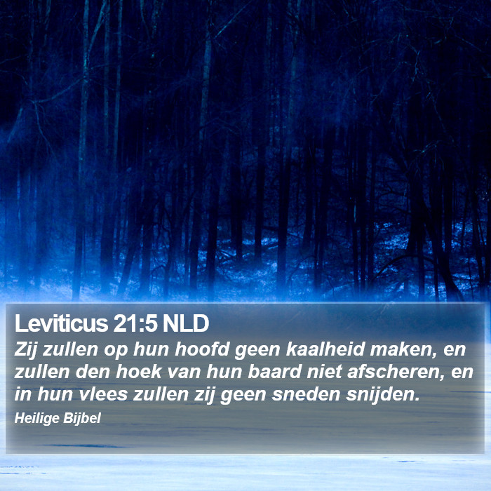 Leviticus 21:5 NLD Bible Study