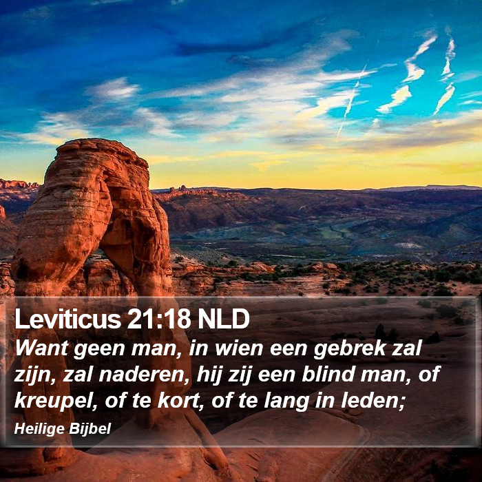 Leviticus 21:18 NLD Bible Study