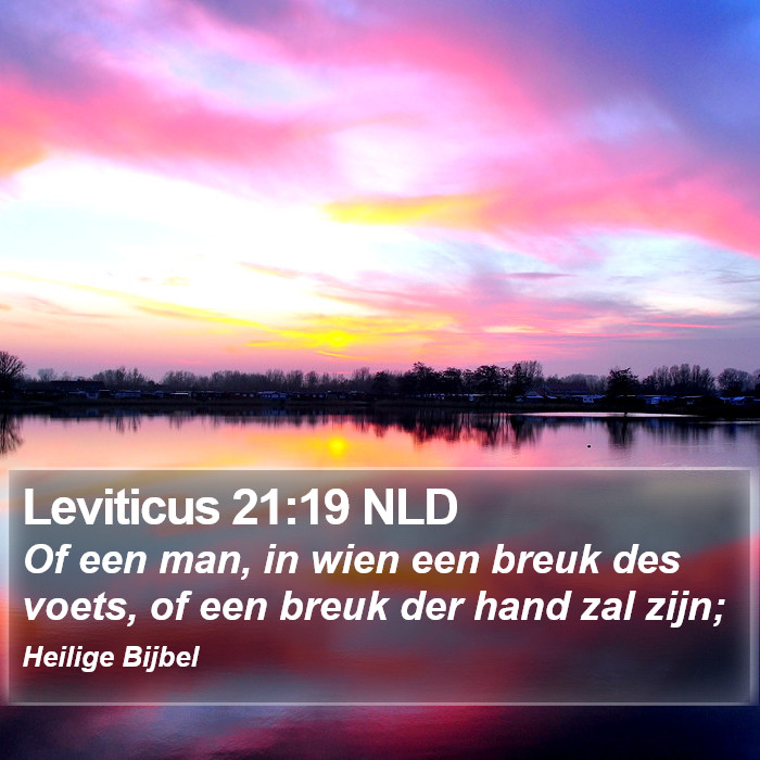Leviticus 21:19 NLD Bible Study
