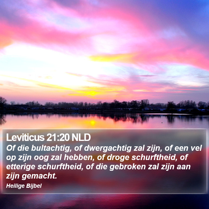 Leviticus 21:20 NLD Bible Study