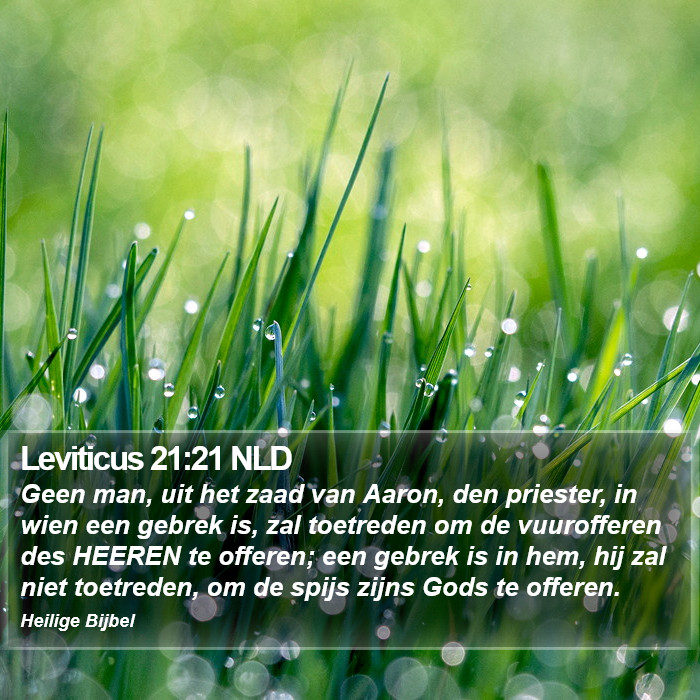 Leviticus 21:21 NLD Bible Study