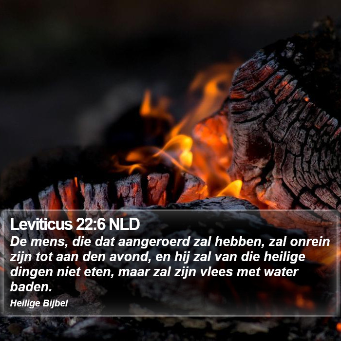 Leviticus 22:6 NLD Bible Study