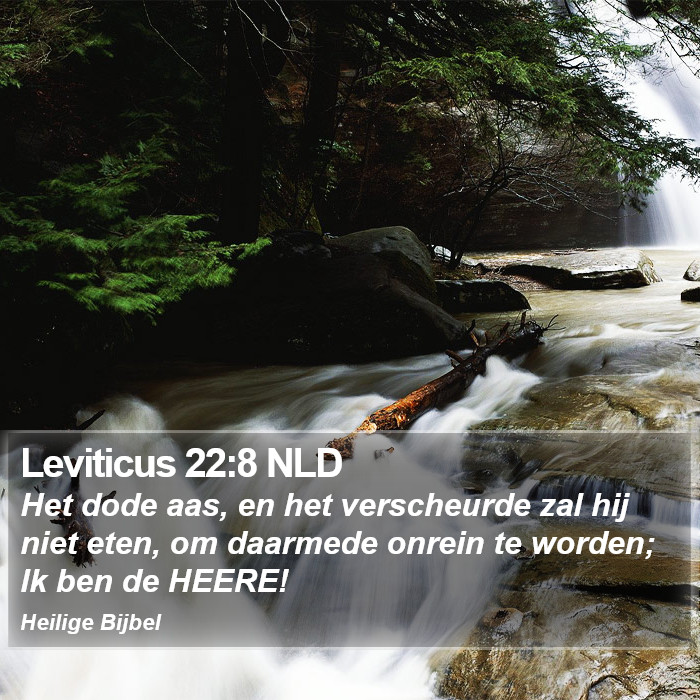 Leviticus 22:8 NLD Bible Study