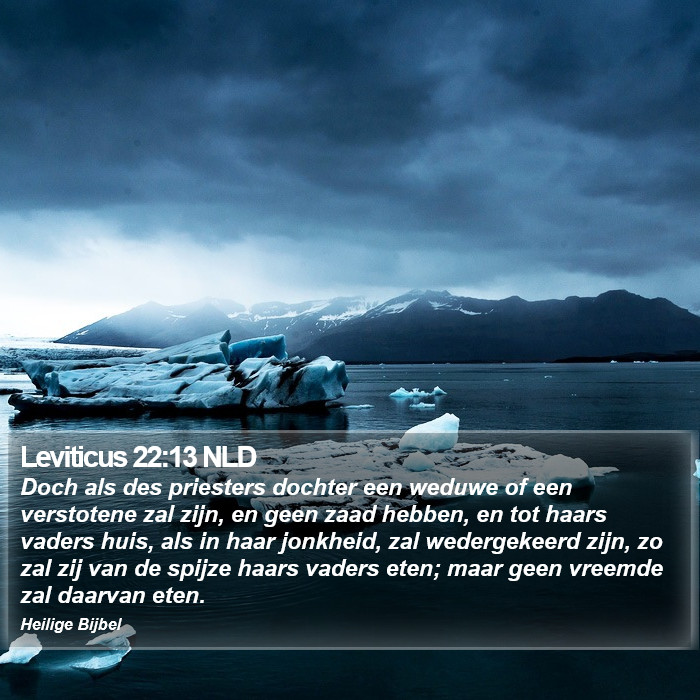 Leviticus 22:13 NLD Bible Study