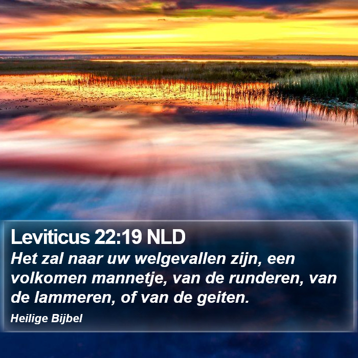 Leviticus 22:19 NLD Bible Study