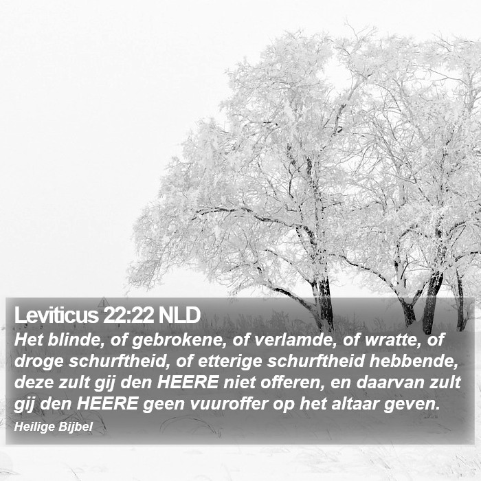 Leviticus 22:22 NLD Bible Study