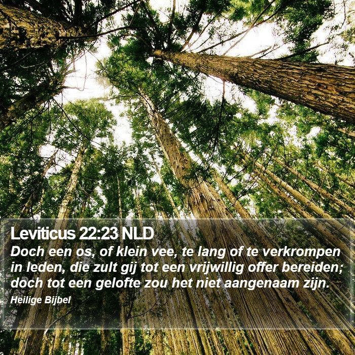 Leviticus 22:23 NLD Bible Study