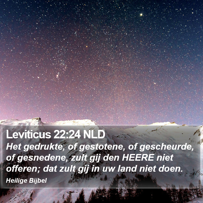 Leviticus 22:24 NLD Bible Study