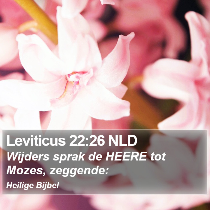 Leviticus 22:26 NLD Bible Study