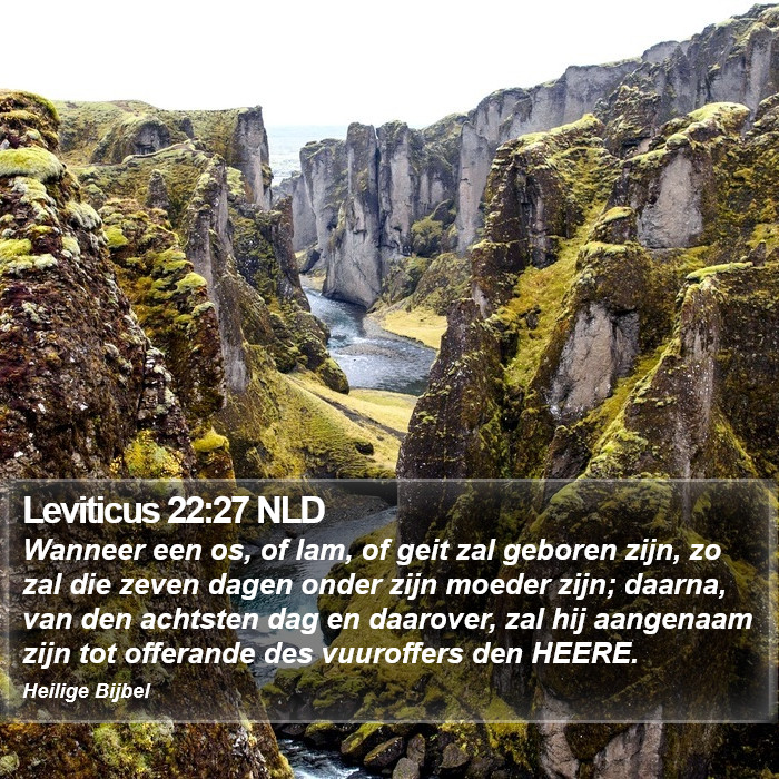 Leviticus 22:27 NLD Bible Study