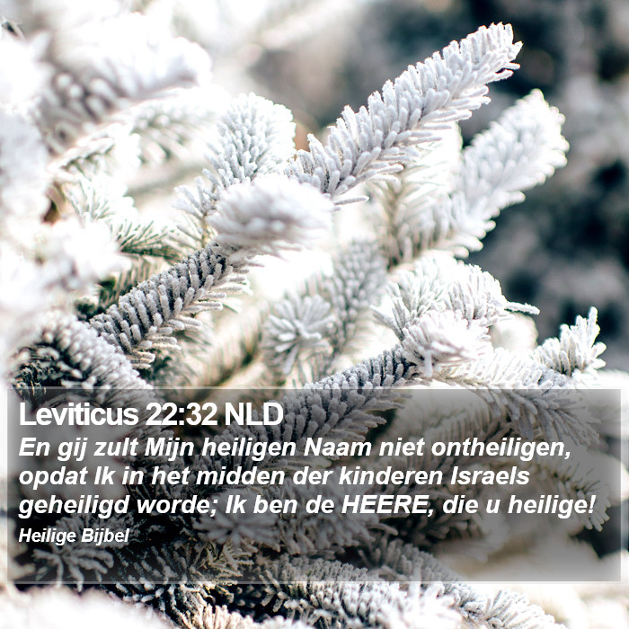 Leviticus 22:32 NLD Bible Study